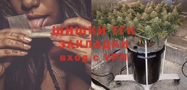 сатива Алексеевка